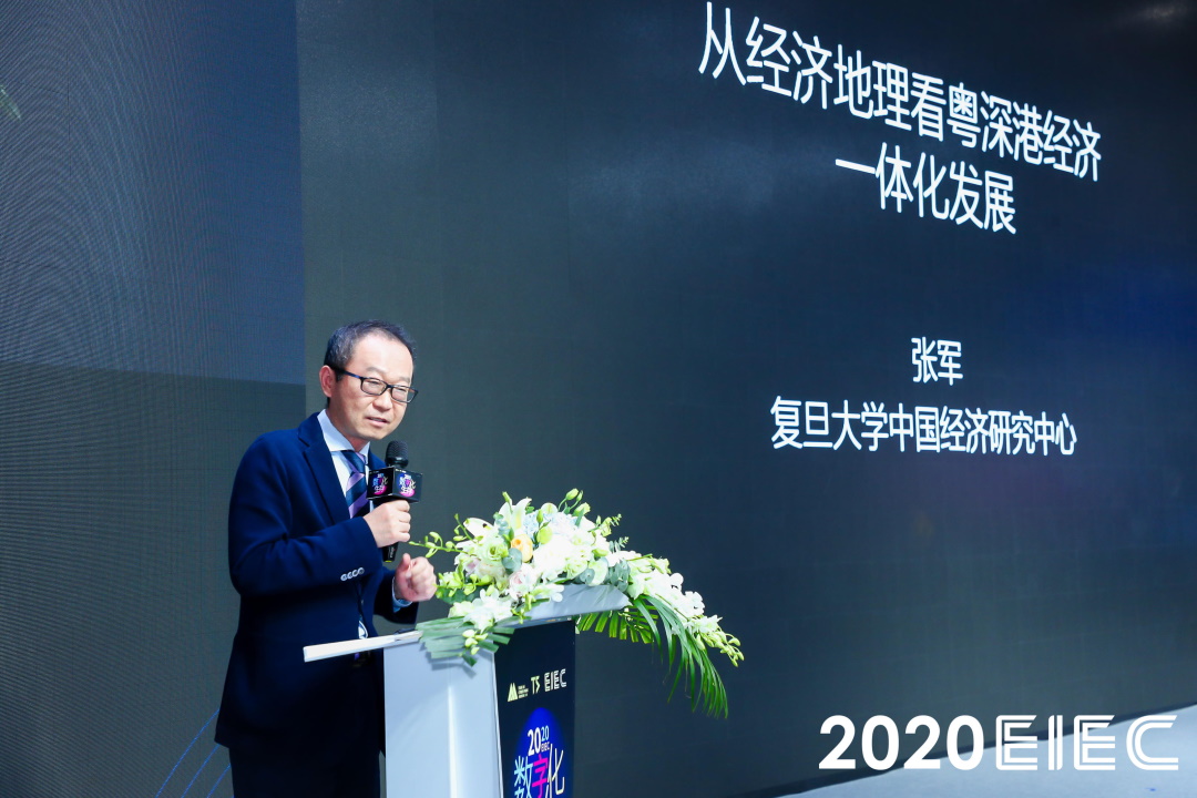 国内著名经济学家、复旦大学长江特聘教授张军